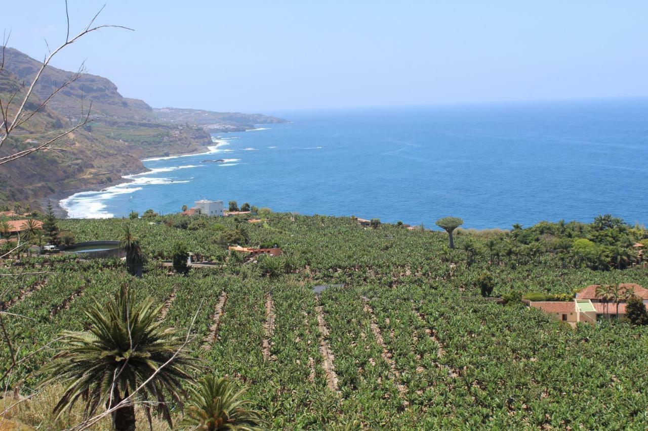 Holidaynorthtenerife Exotic Apartament Los Realejos Ngoại thất bức ảnh