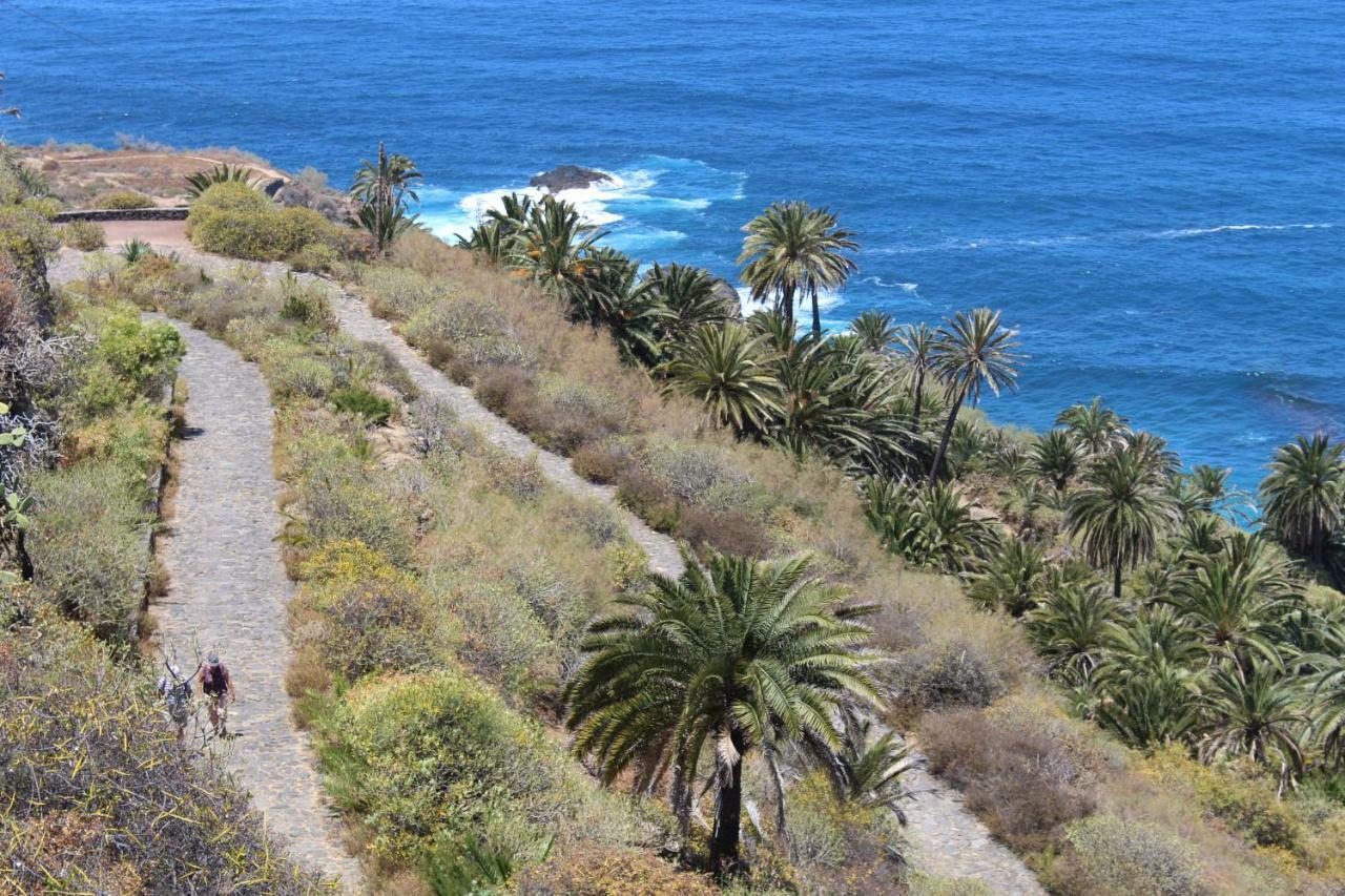 Holidaynorthtenerife Exotic Apartament Los Realejos Ngoại thất bức ảnh